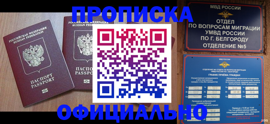 найти адрес прописки в Канаше